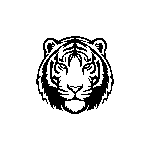 Tigers